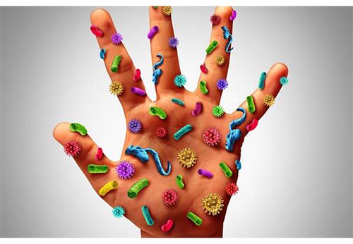 I focolai del papillomavirus umano si trovano sulle mani